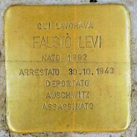 PI-Levi-Fausto